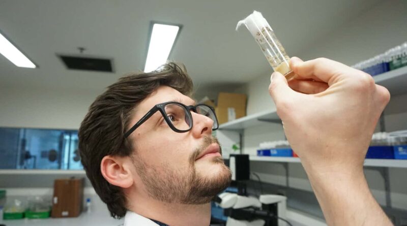 Insect Armageddon: low doses of the insecticide, Imidacloprid, cause blindness in insects