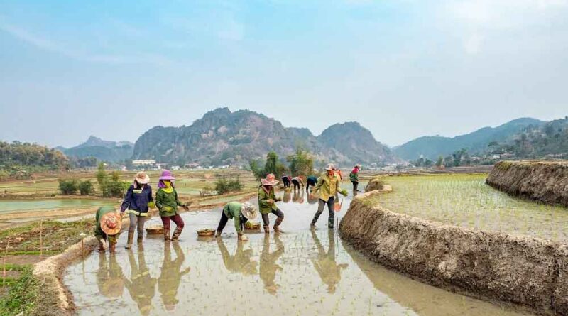 Pesticide-free crop protection yields up to US$ 20 billion/year benefits in Asia-Pacific region