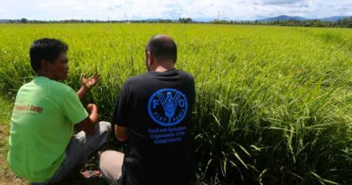 The Philippines | Anticipating crises to support farming communities