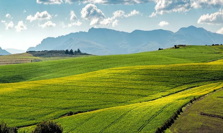 Intensive monoculture is putting water systems in peril