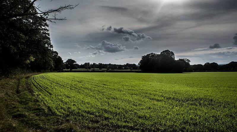 £25 million available to help farmers boost productivity