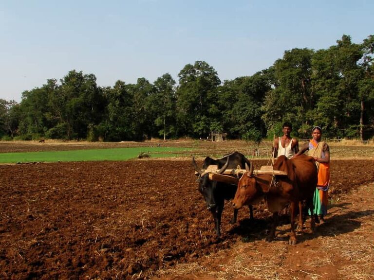 Birmingham led research promises water boost for farmers in India