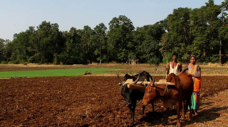 Birmingham led research promises water boost for farmers in India