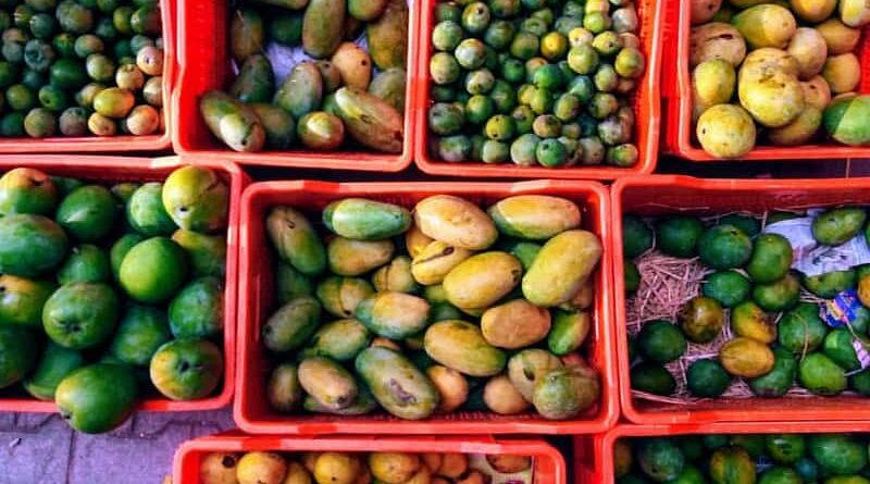 Opening of new market access for agricultural commodities between India and Bhutan