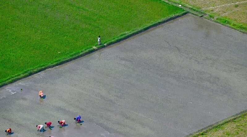 Reliance General Insurance partners with Satsure Analytics for satellite based crop monitoring