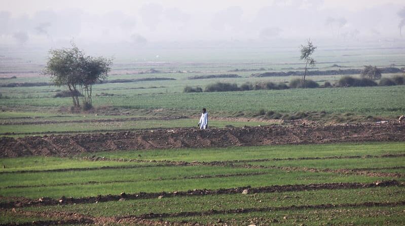 Don't need your advice to protect farmers: Captain Amarinder