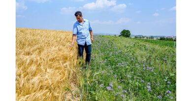 Bayer helping transform the food system through innovation in agriculture