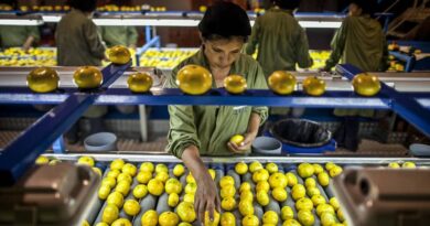 Food Processing Projects worth Rs 234.68 Crores approved under IMAC