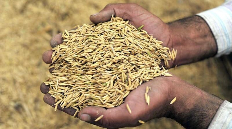 Haryana government assures crop purchase on minimum support price