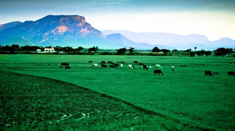 MSP Operations during Kharif Marketing Season 2020-21