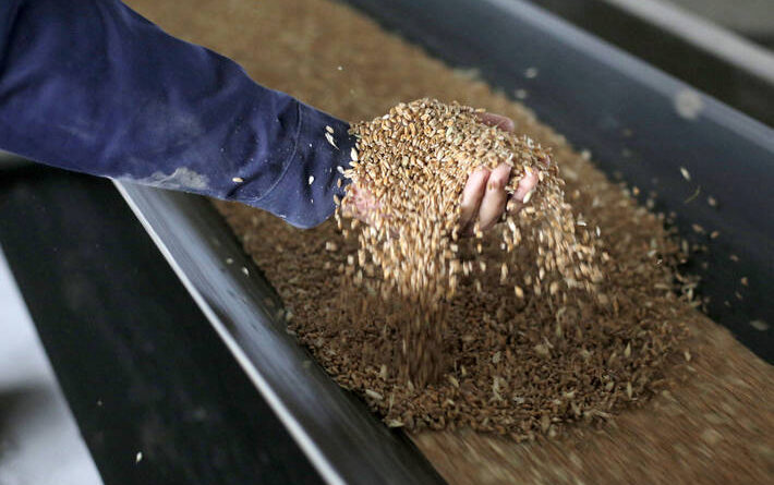 Global food prices continue rising in October