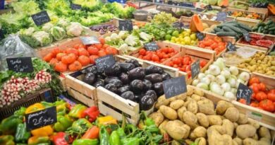 APEDA organises Virtual Buyer Seller Meets with potential importing Countries