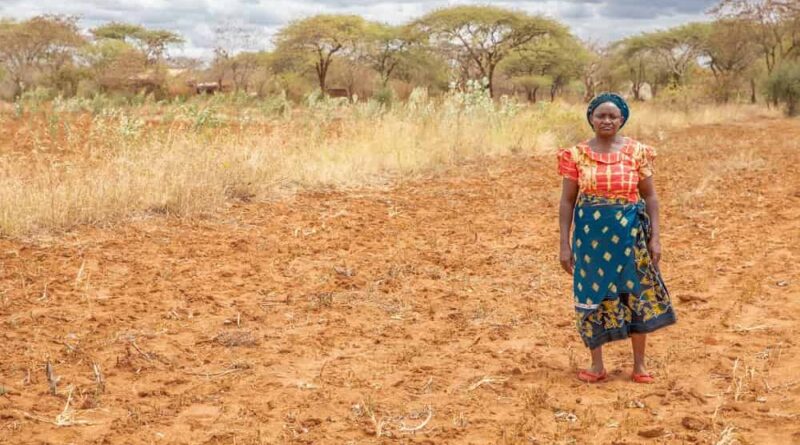 More than 5 million farmers helped in bid to battle scourge of locust swarms in Kenya and Ethiopia