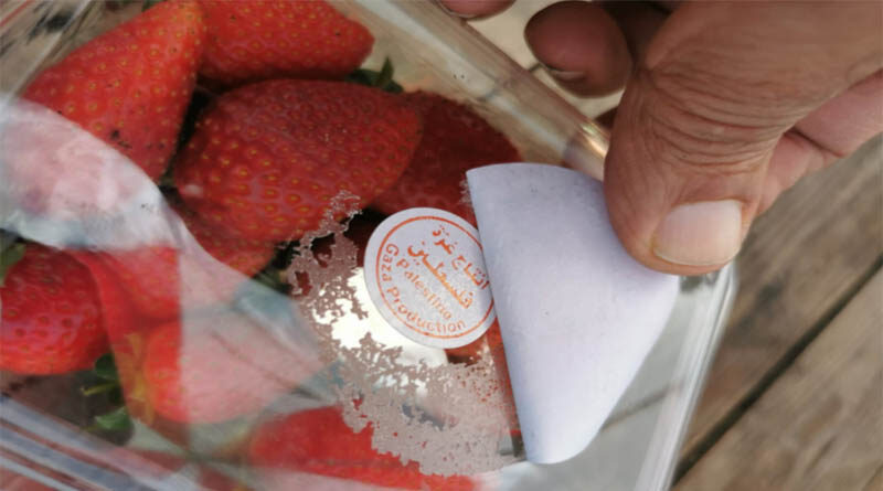 The strawberry season has begun, and with it the illegal smuggling from Gaza