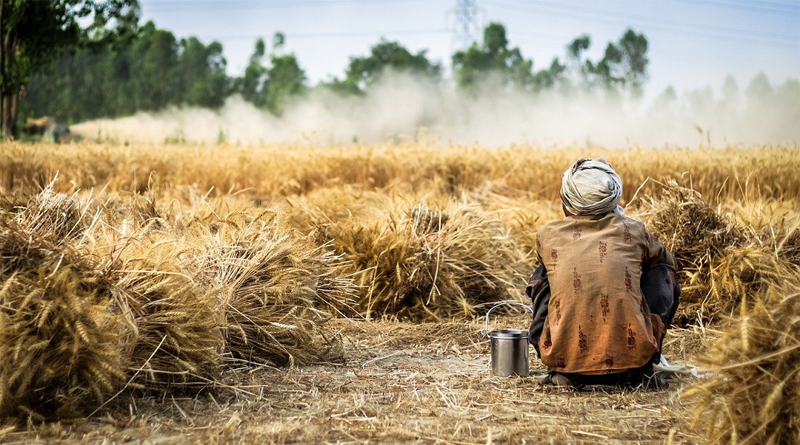 The Sustainable Agriculture Network welcomes CABI into its membership