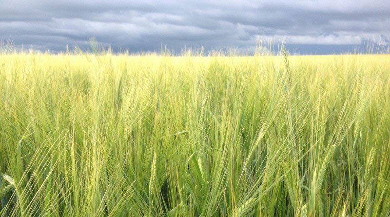 The Farm Acts are steps taken by the Government towards doubling farmers income by 2022