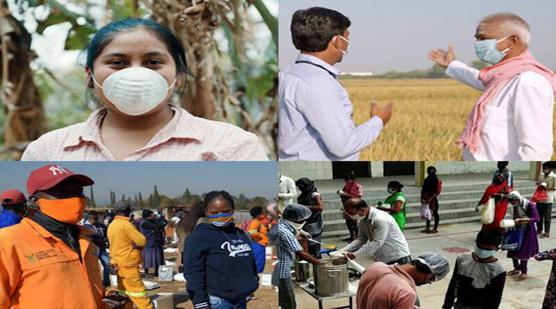 Responding to Crisis and Building Resilience With Biofortified Crops in 2020