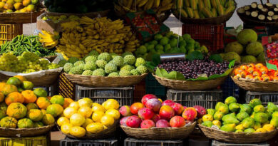 AIRCA agrees to cooperate on research in support of UN Food Systems Summit 2021