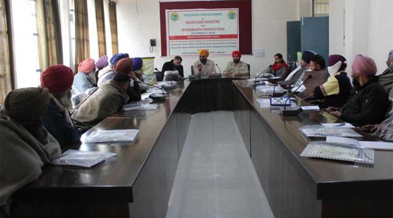 PAU Imparts Training In Backyard Poultry And Mushroom Production