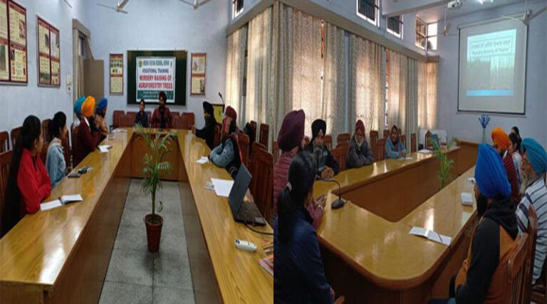 Training Programme On Nursery Raising Of Agroforestry Trees Begins At Kvk, Ropar