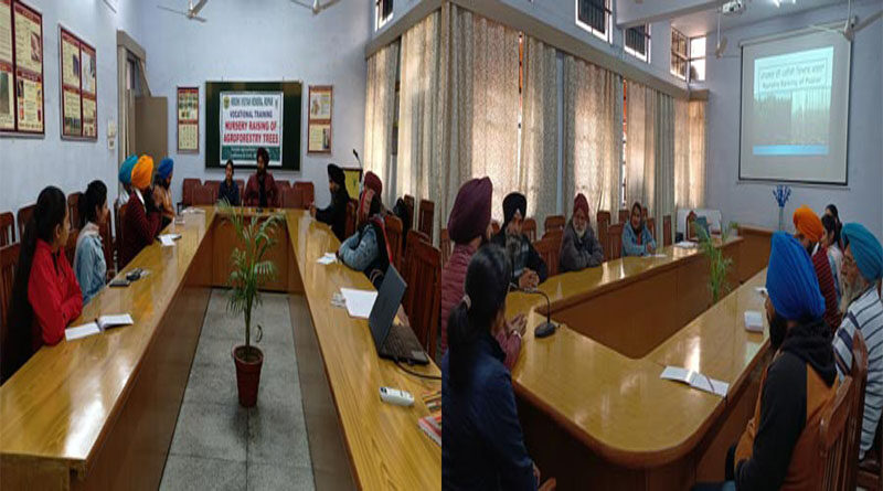 Training Programme On Nursery Raising Of Agroforestry Trees Begins At Kvk, Ropar