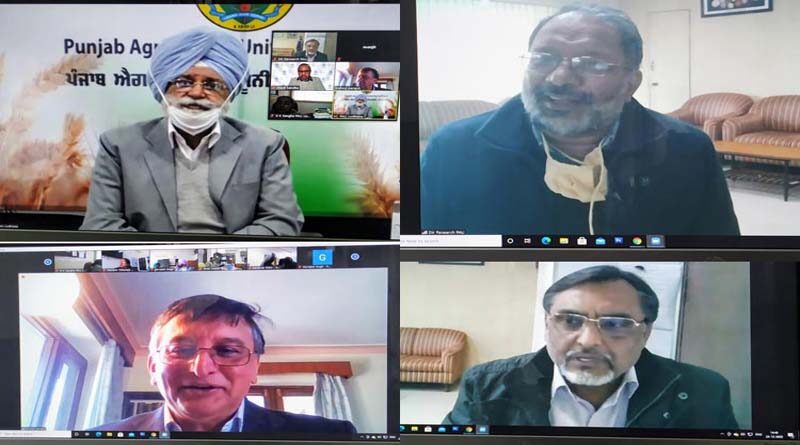 “India is food secure. Thanks to Punjab Agricultural University (PAU) and dedicated farmers of Punjab and Haryana,” said Mr Bishow Parajuli, Representative and Country Director (India), World Food Programme (The 2020 Nobel Peace Prize Laureate), while delivering a talk on “Food and Nutrition Security in India in the post-COVID World: Role of Agricultural Universities,” organized by the Ludhiana Chapter of National Academy of Agricultural Sciences (NAAS), PAU, today.