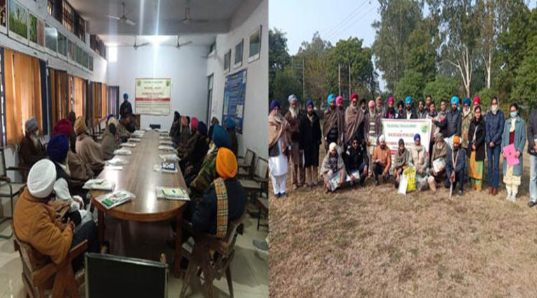 PAU Trains Farmers In Backyard Poultry And Mushroom Production
