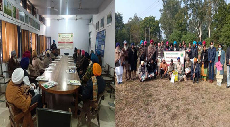 PAU Trains Farmers In Backyard Poultry And Mushroom Production