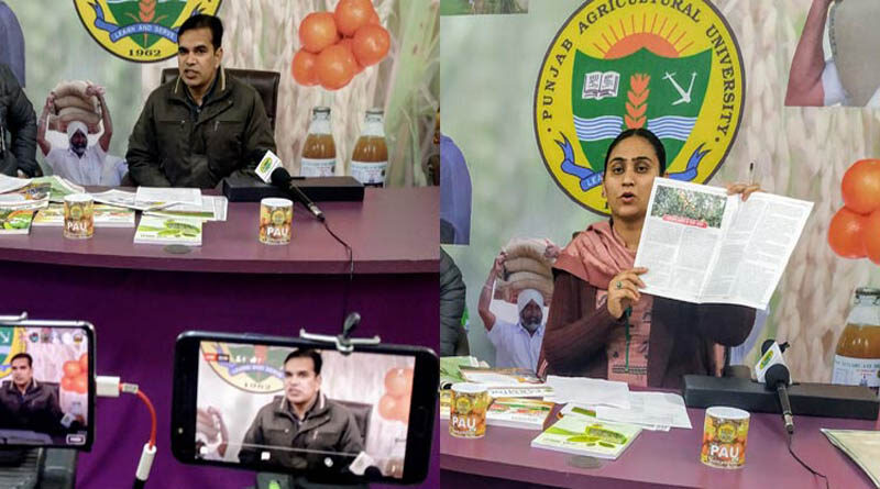 PAU Live Programme Completes 30 Episodes, Gains Momentum Among Farmers