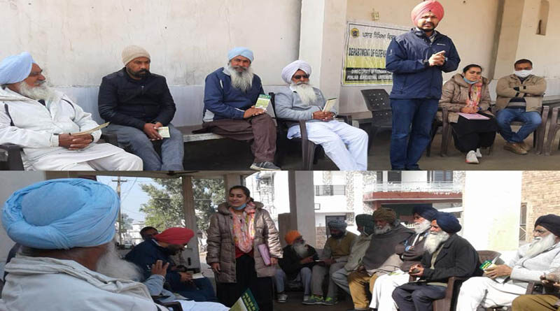 PAU Organizes Training Camp On Integrated Weed Management In Wheat Crop