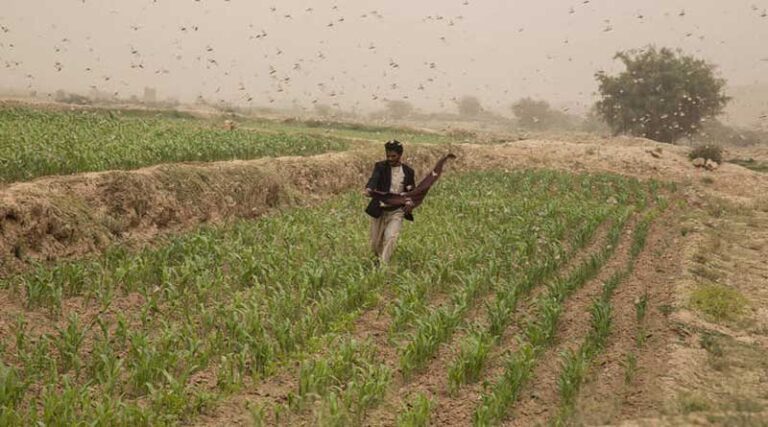 Window To Prevent Famine In Yemen Is Narrowing, UN Agencies Warn