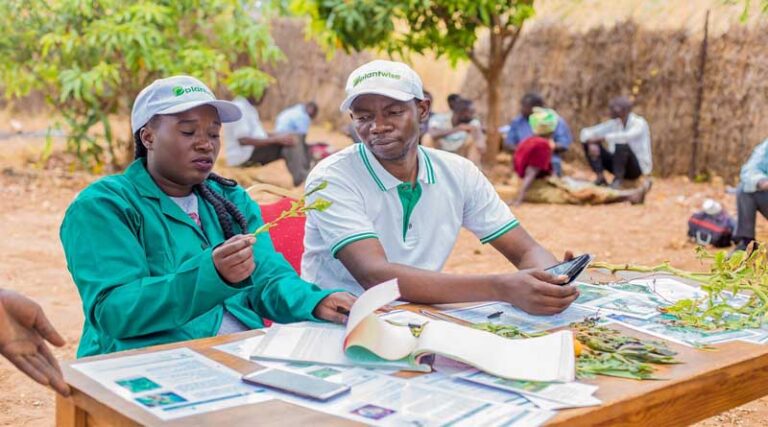 Plantwise Honoured With International IPM Achievement Award