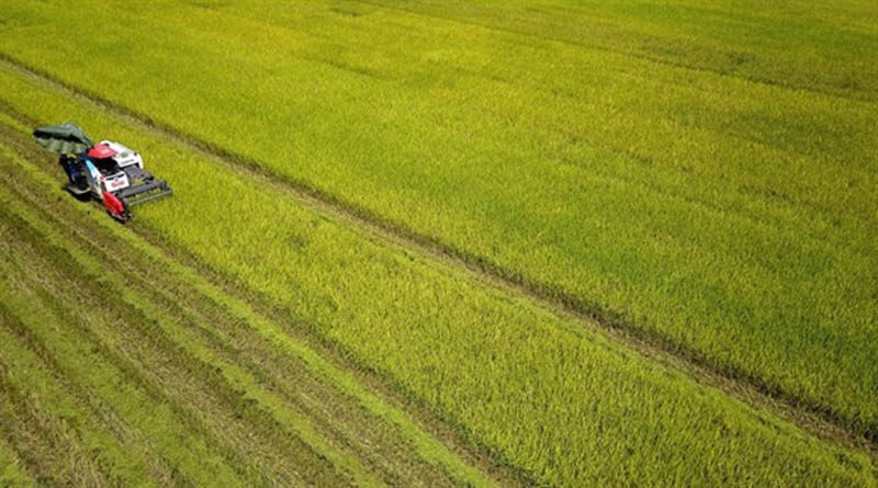 PM calls for Vietnam to become an agriculture powerhouse
