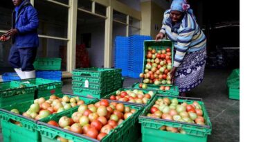FAO launches the UN’s International Year of Fruits and Vegetables 2021