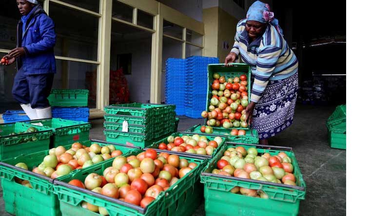 FAO launches the UN’s International Year of Fruits and Vegetables 2021