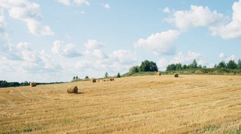 Haryana Government has decided to restructure the Command Area Development Authority (CADA) as Micro Irrigation and Command Area Development Authority (MICADA) for the effective implementation of Micro Irrigation projects especially in the water deficient areas, along with watercourses work on various canal commands in the State.