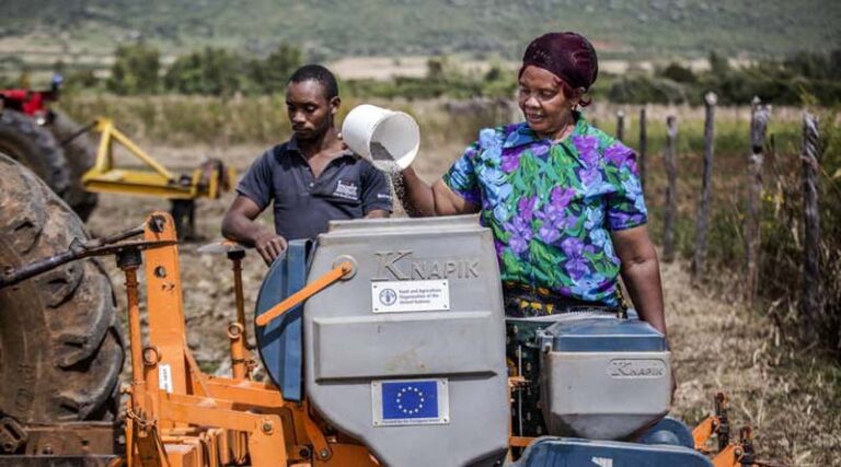 FAO’s Investment Centre is stepping up its support for creating more robust and sustainable agri-food systems