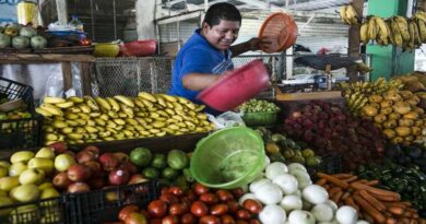 Global Environment Facility approves over $78 million to support FAO-led projects