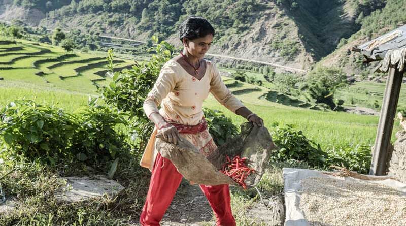 Mountain People Among The World’s Hungriest As Biodiversity Loss And Climate Change Take Their Toll
