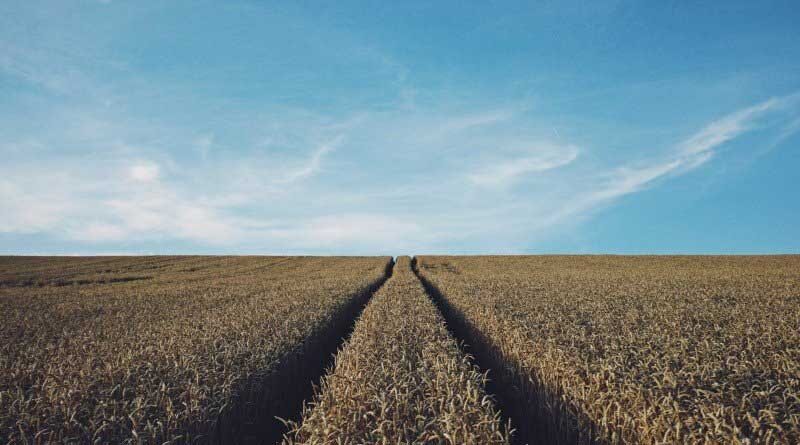 Agriculture News2