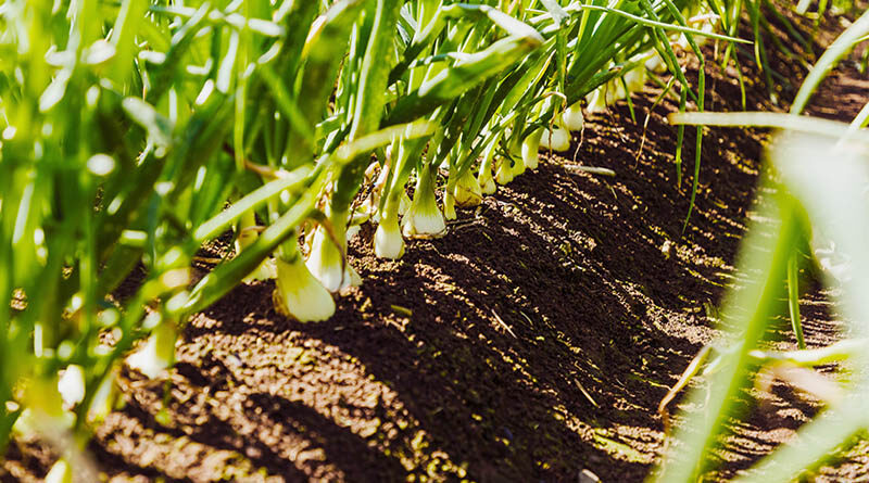 Gisborne Farm Environment Plan workshop