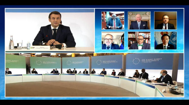 FAO Director-General calls for urgent scale-up of Africa’s Great Green Wall