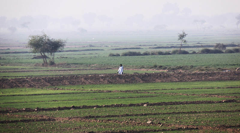The Concerned Officers That Farmers Should Not Face Any Inconvenience In Mandis During The Procurement Of Rabi Crops