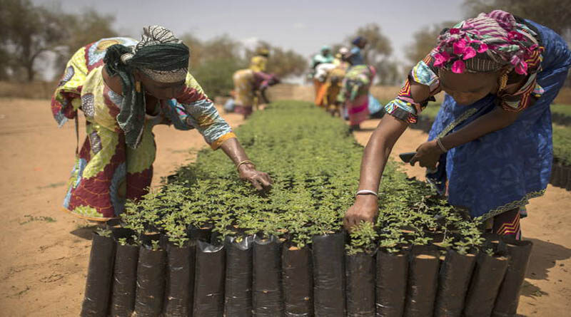 FAO’s work on biodiversity, One Health and climate