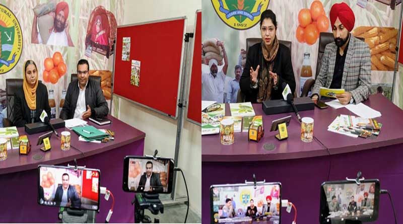 PAU to hold virtual food industry and craft mela