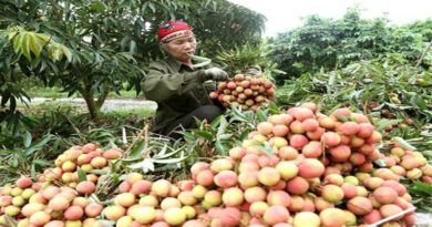Vegetables and fruits exports reached 3.26 billion USD in 2020