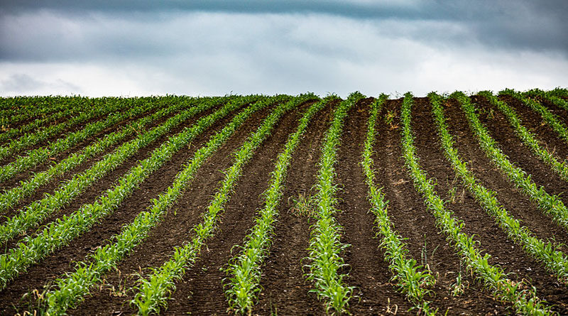 Govts progress on Technologies for Agricultural Advancement in India
