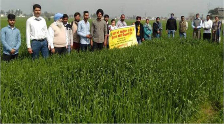 Farmers Get Training In Seed Production Of Field And Vegetable Crops