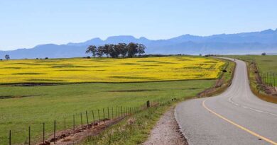 Climate, canola and coping with changing conditions