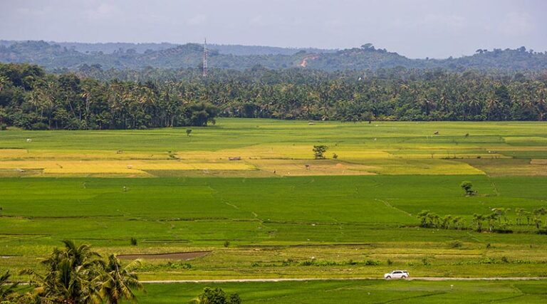 Assistance to Indian Farmers affected by Floods and Covid-19 Pandemic